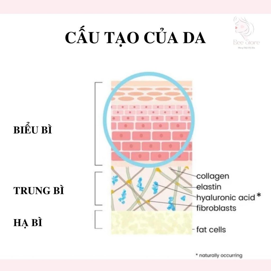 acid hyaluronic có tác dụng gì