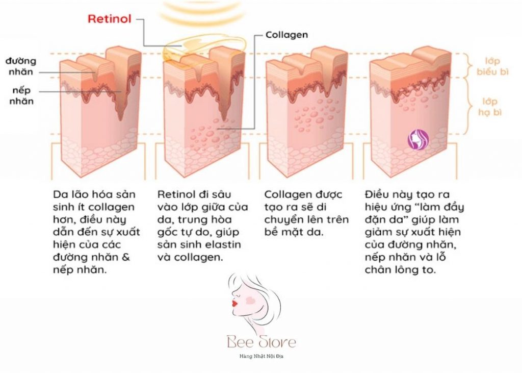 cơ chế hoạt động của retinol trên da