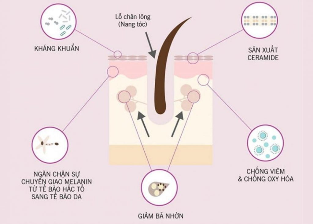 niacinamide có tác dụng gì