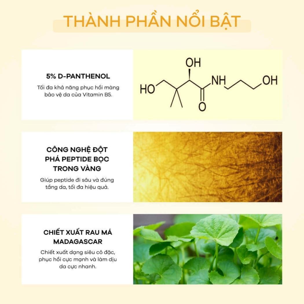 thành phần nổi bật của serum b5 zakka